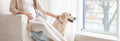 Safe Pet Care for Expecting Moms: Nurturing Your Furry Friends