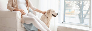 Safe Pet Care for Expecting Moms: Nurturing Your Furry Friends